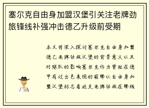 塞尔克自由身加盟汉堡引关注老牌劲旅锋线补强冲击德乙升级前受期
